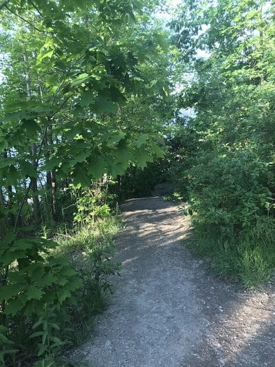 K-9 Coastline - Cleveland, OH
