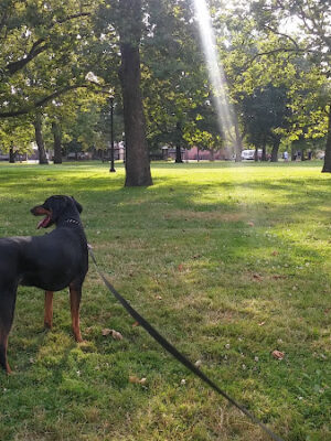Lincoln Park