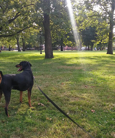 Lincoln Park