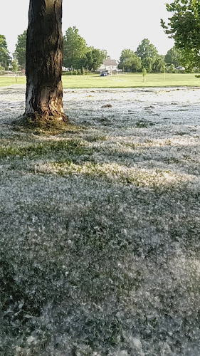 Lowe Park Exercise Courts - Cleveland, OH