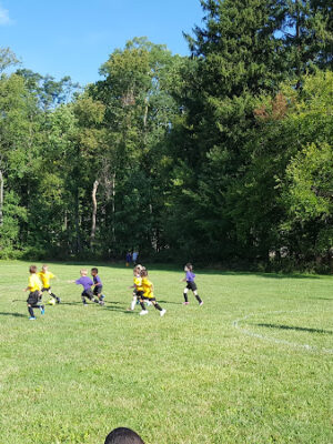 Memorial Fields Metroparks