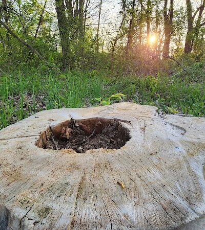 Mohican Park - Cleveland, OH
