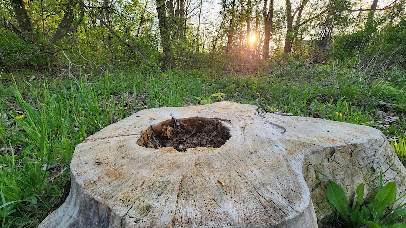 Mohican Park - Cleveland, OH