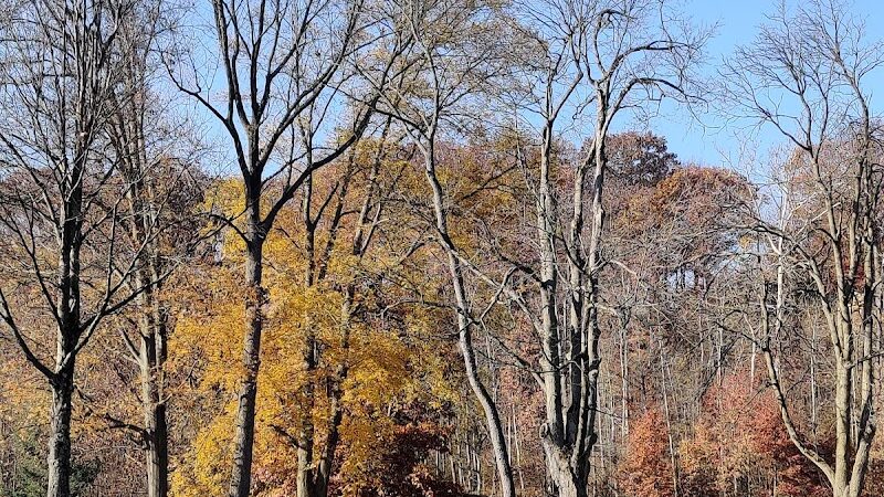 North Mastic Picnic Area, Rocky River Reservation - Cleveland, OH
