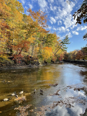 North Mastic Picnic Area, Rocky River Reservation