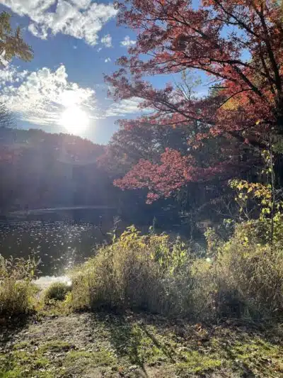 North Mastic Picnic Area, Rocky River Reservation - Cleveland, OH