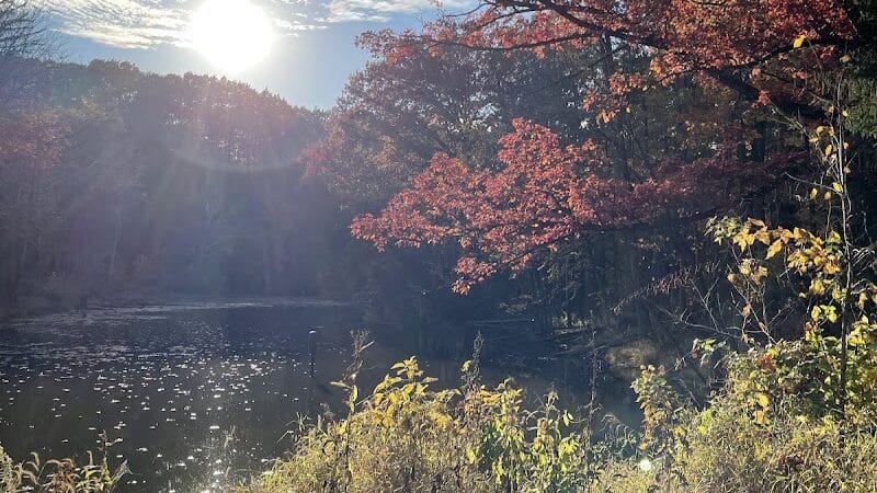 North Mastic Picnic Area, Rocky River Reservation - Cleveland, OH