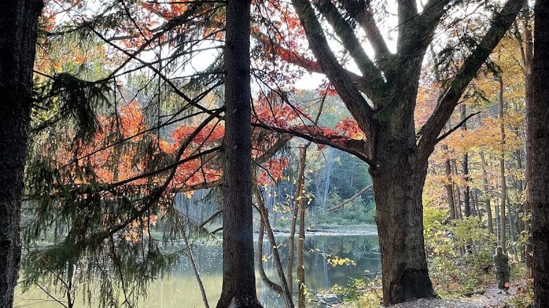 North Mastic Picnic Area, Rocky River Reservation - Cleveland, OH