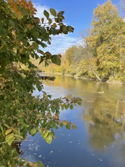 North Mastic Picnic Area, Rocky River Reservation - Cleveland, OH