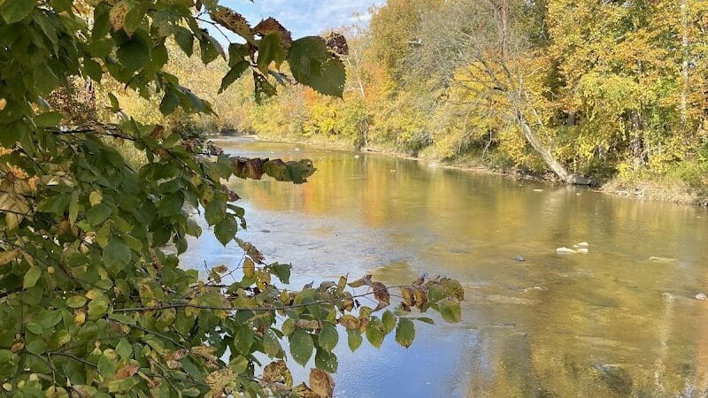 North Mastic Picnic Area, Rocky River Reservation - Cleveland, OH