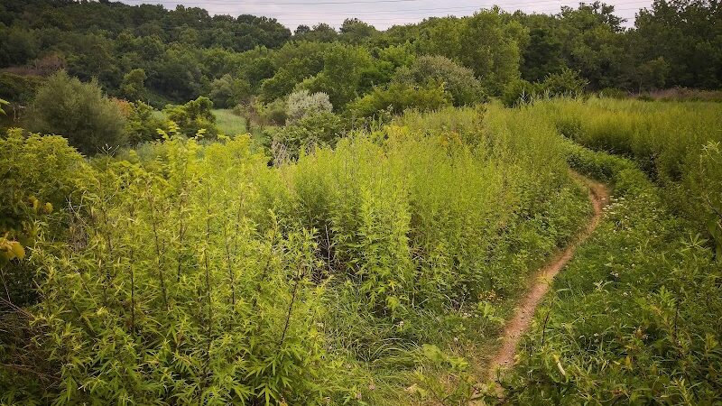 Ohio & Erie Canal Reservation - Cleveland, OH