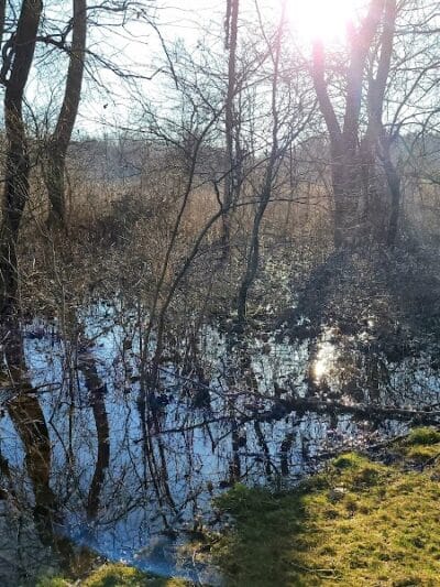 Ohio to Erie Trail, Harvard Ave Trailhead - Cleveland, OH