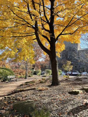 Virginia Havens Park