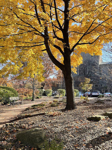 Virginia Havens Park