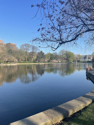 Wade Lagoon