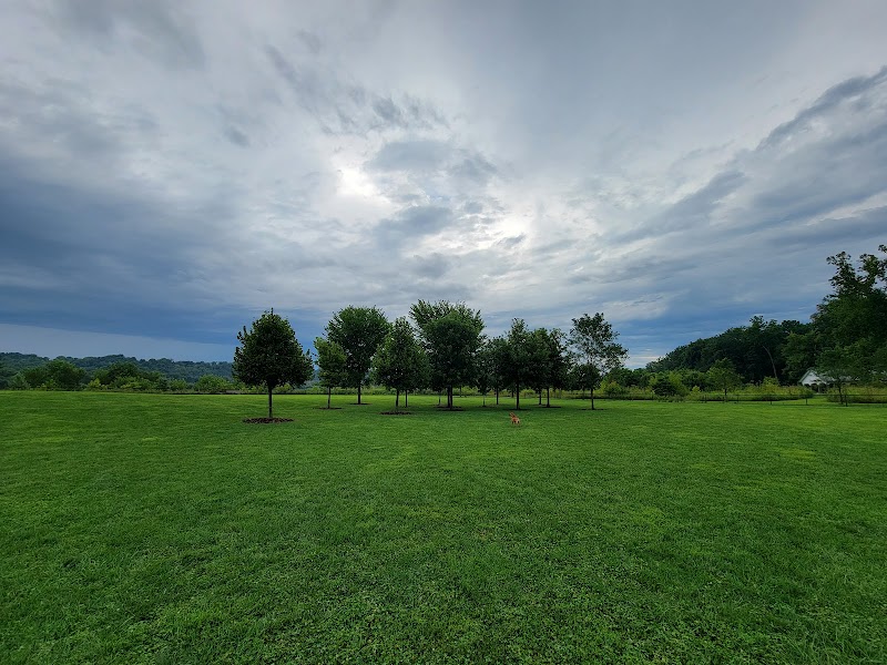 Simmonds Family Dog Park - Cleves, OH