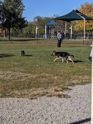 Simmonds Family Dog Park