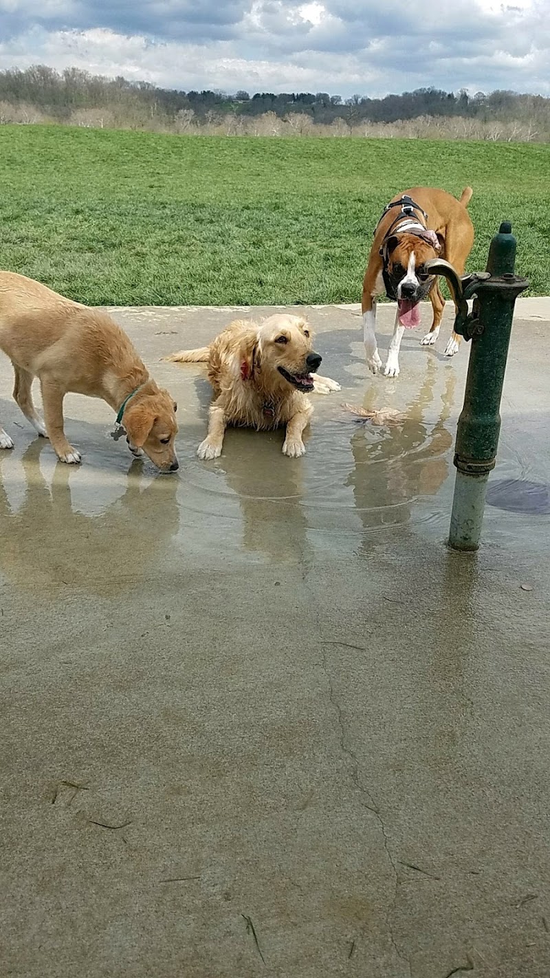Simmonds Family Dog Park - Cleves, OH