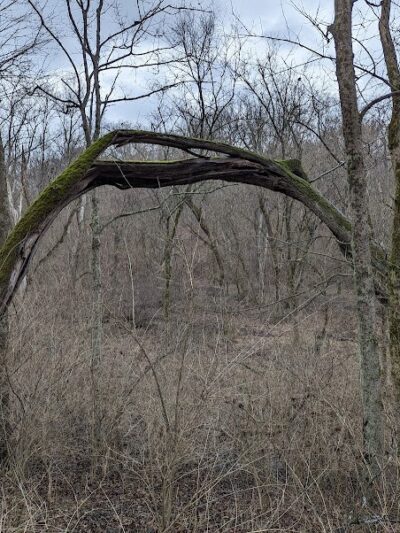 Wood Duck Trail Parking - Cleves, OH