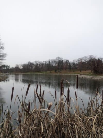 Wood Duck Trail Parking - Cleves, OH