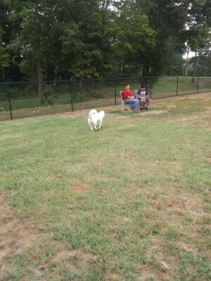 Clyde Dog Park