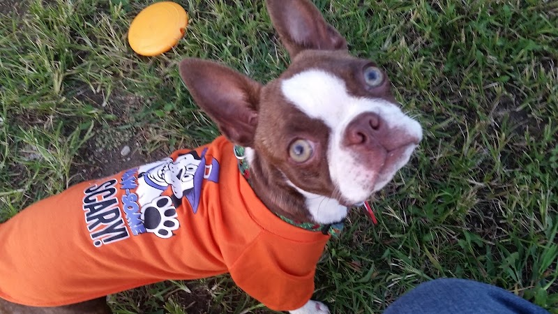 Clyde Dog Park - Clyde, OH