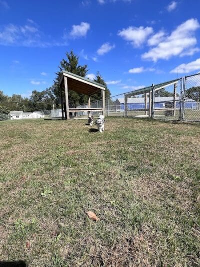 Public dog park - Coldwater, MI
