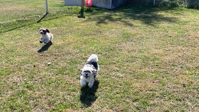 Public dog park - Coldwater, MI