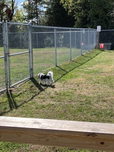 Public dog park - Coldwater, MI