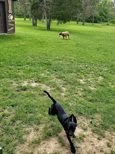 Hueston Woods State Park