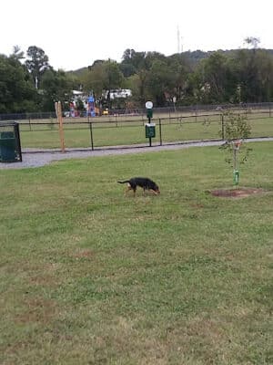 Collinsville Dog Park