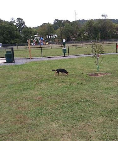 Collinsville Dog Park