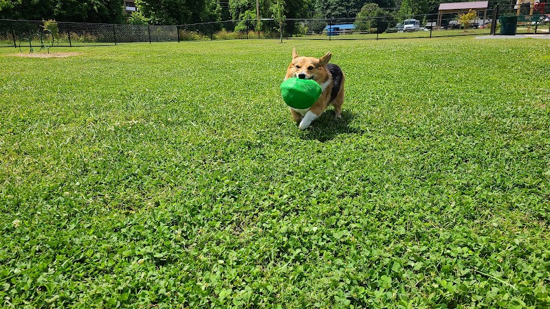 Collinsville Dog Park - Collinsville, VA