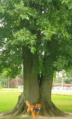 Columbia Park