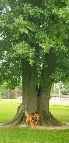 Columbia Park