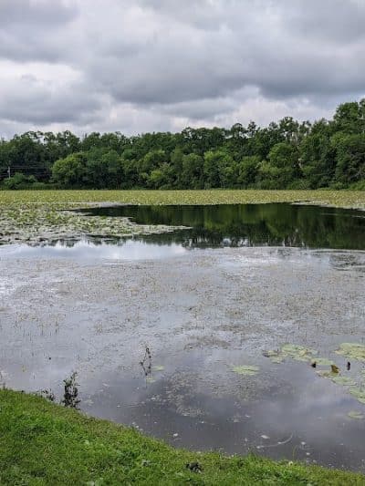 Columbia Reservation - Columbia Station, OH