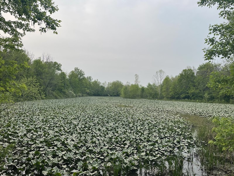 Columbia Reservation - Columbia Station, OH