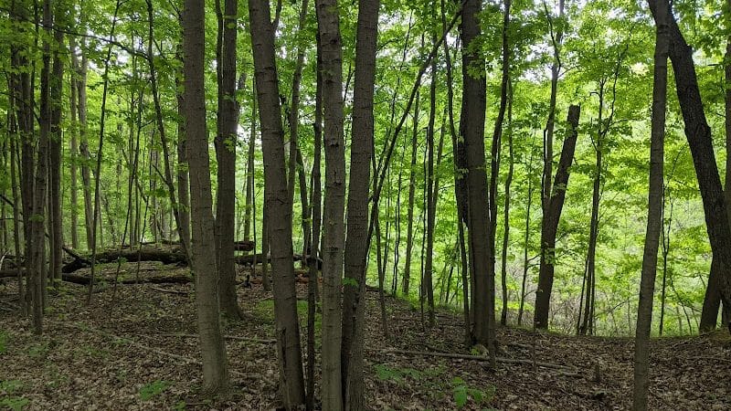 Columbia Reservation - Columbia Station, OH