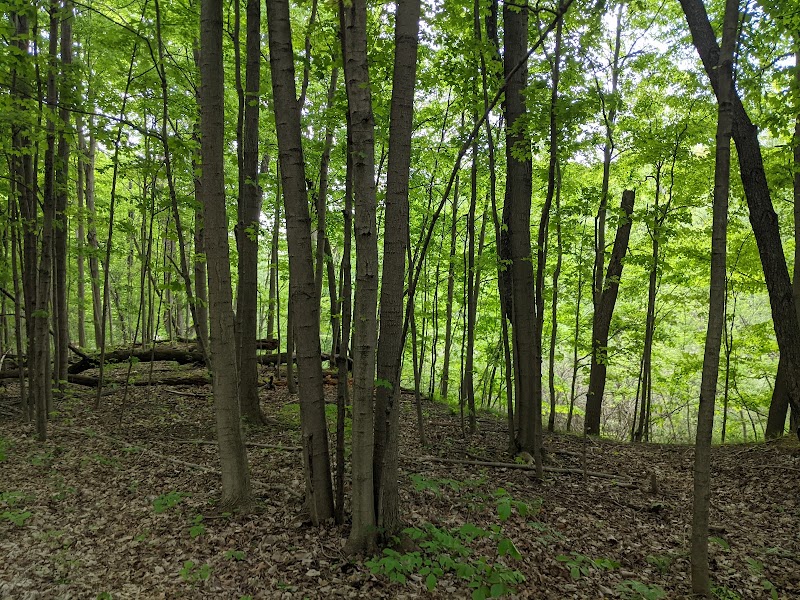 Columbia Reservation - Columbia Station, OH
