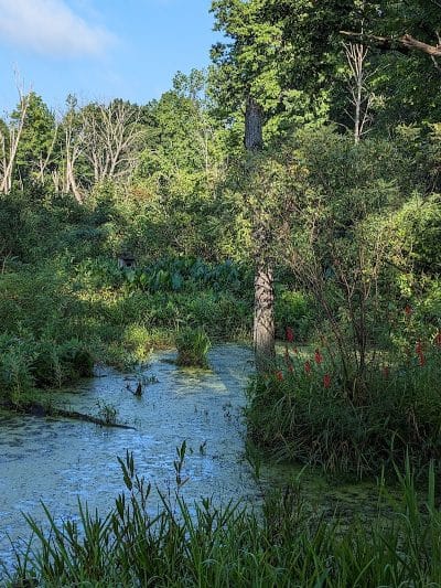 Columbia Reservation - Columbia Station, OH