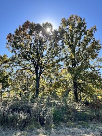 Dorlon Reservation - Columbia Station, OH