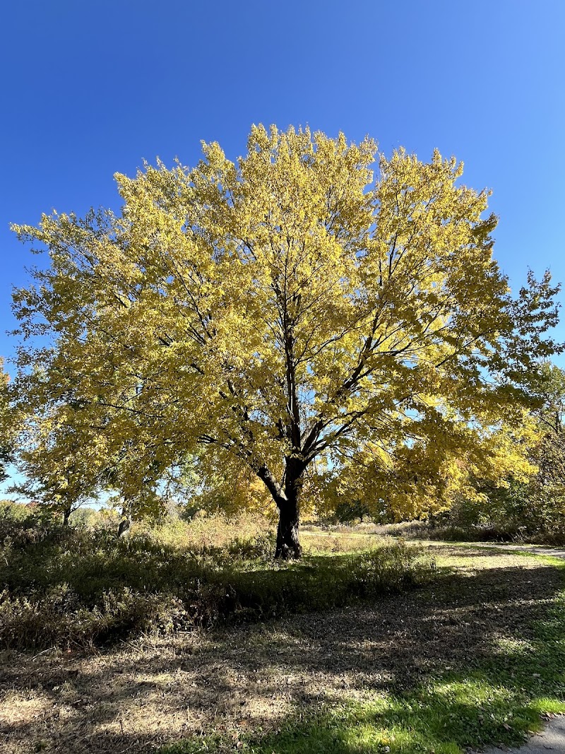 Dorlon Reservation - Columbia Station, OH