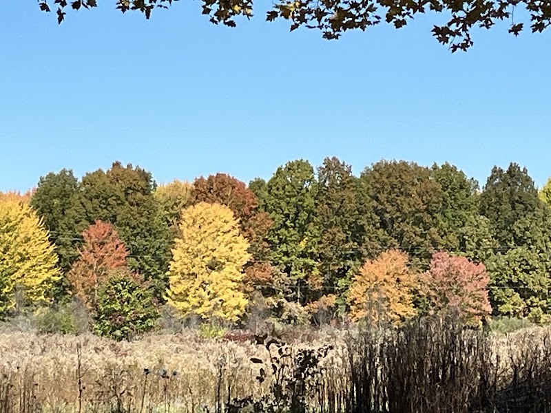 Dorlon Reservation - Columbia Station, OH