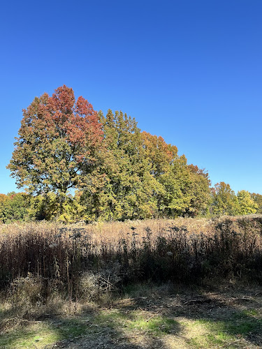 Dorlon Reservation