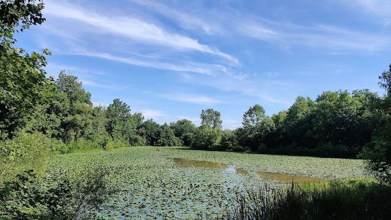 Oxbow Trail, Columbia Reservation - Lorain County Metro Parks - Columbia Station, OH