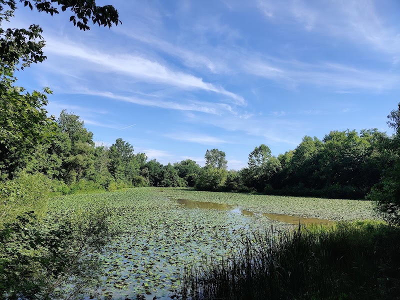 Oxbow Trail, Columbia Reservation - Lorain County Metro Parks - Columbia Station, OH