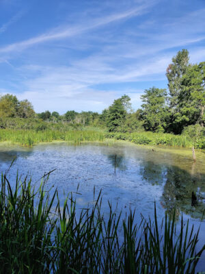 Oxbow Trail, Columbia Reservation - Lorain County Metro Parks