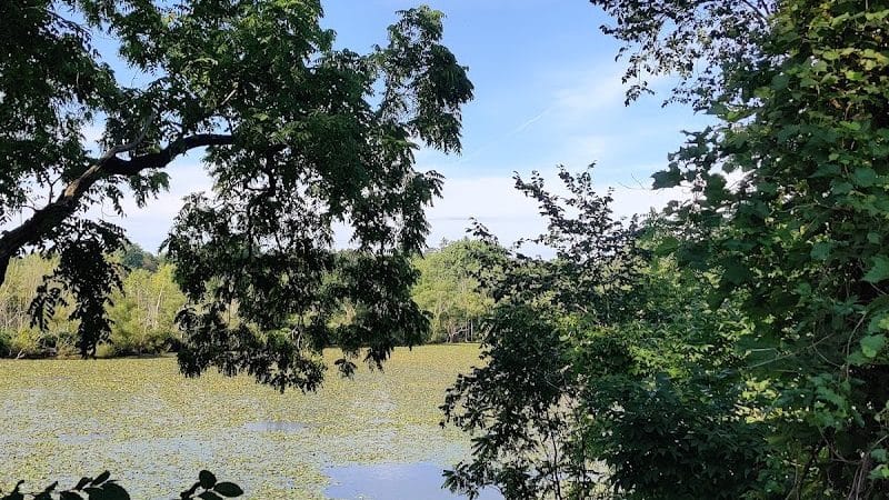 Oxbow Trail, Columbia Reservation - Lorain County Metro Parks - Columbia Station, OH