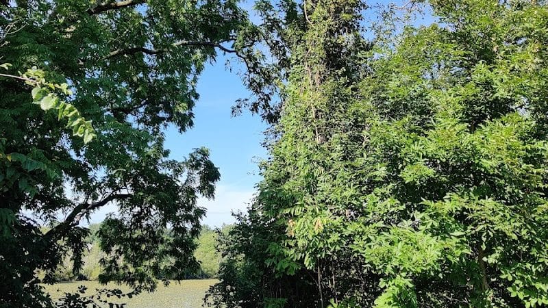 Oxbow Trail, Columbia Reservation - Lorain County Metro Parks - Columbia Station, OH