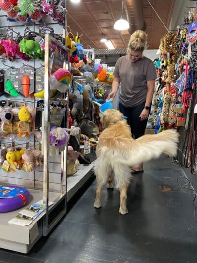 Paws on Main - Columbiana, OH